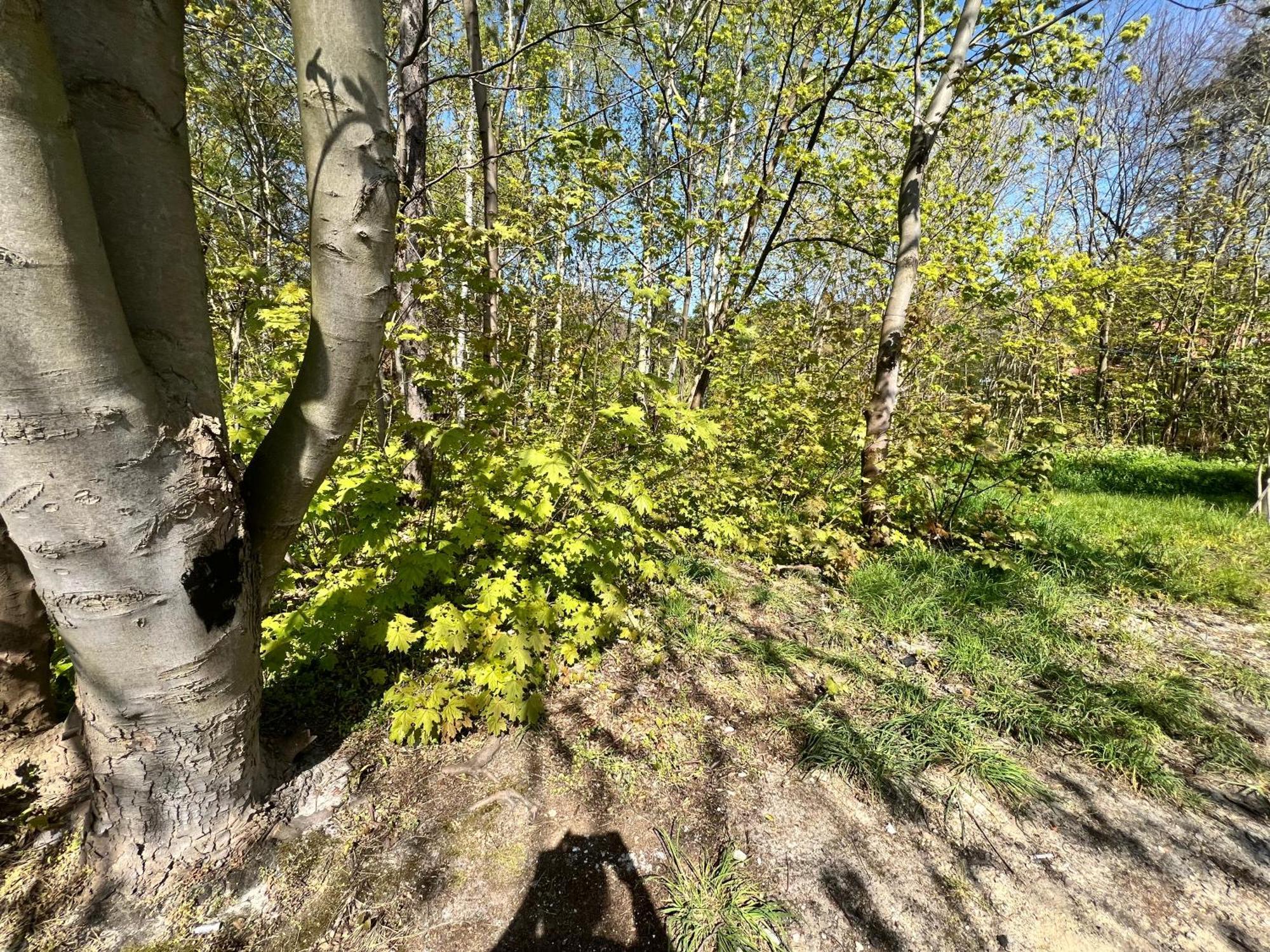 Na Spokojnie Jastarnia Exteriér fotografie